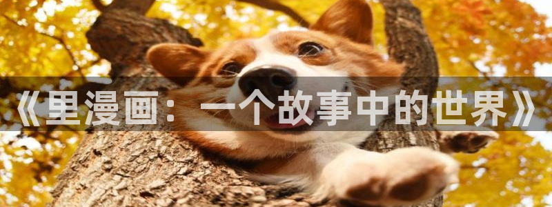 包子漫画网址是什么：《里漫画：一个故事中的世界》
